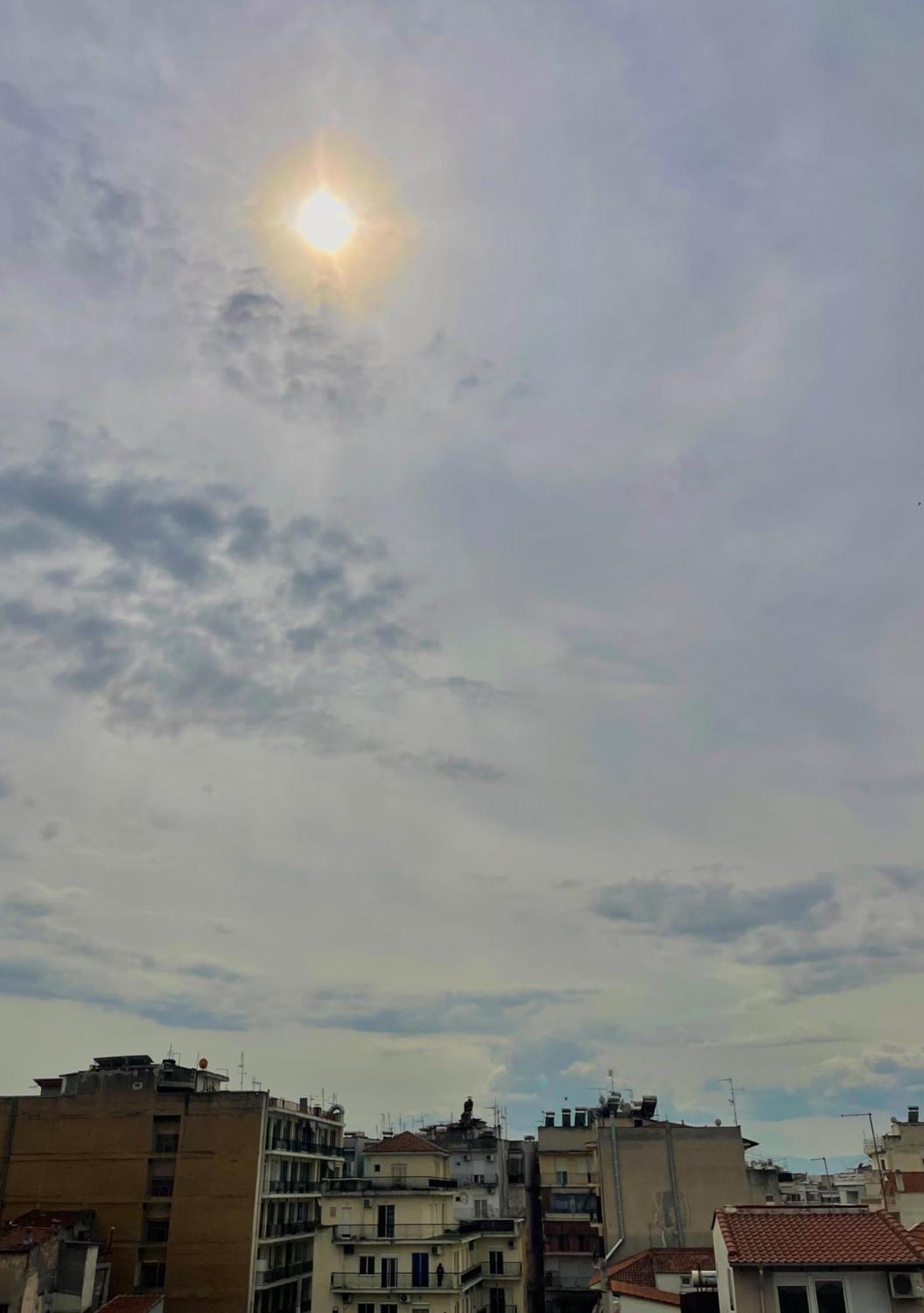 Sunny 1 *